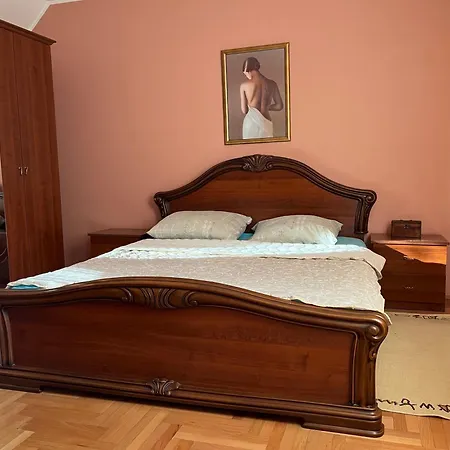 Luxury 公寓 姆拉代诺瓦茨